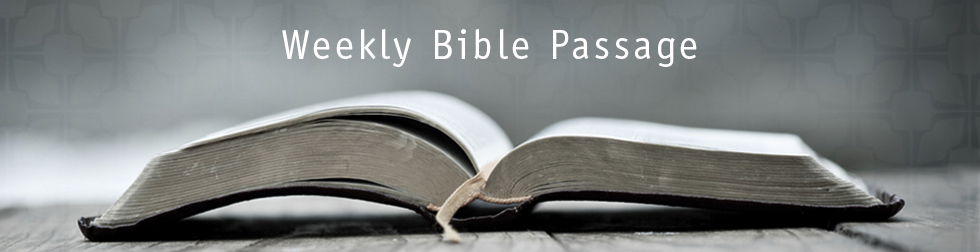 weekly-bible-psg-header